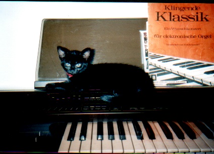orgel.jpg (49964 Byte)