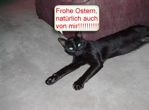 ostern.jpg (108533 Byte)